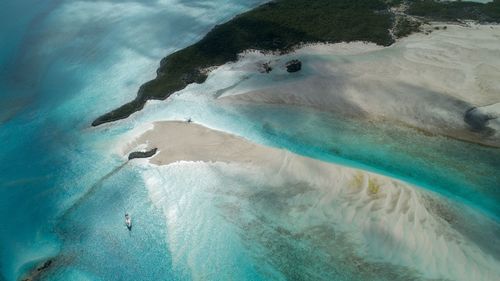 High angle view of crocodile in sea