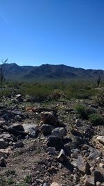 Scenic view of landscape against clear blue sky