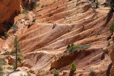 Rock formations on land