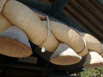 High angle view of firewood hanging on roof
