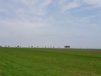 Scenic view of field against sky