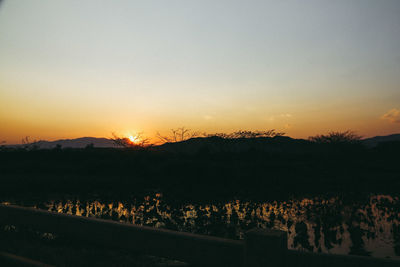 Silhouette trees and plants against sky during sunset