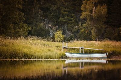 Scenic view of lake in forest