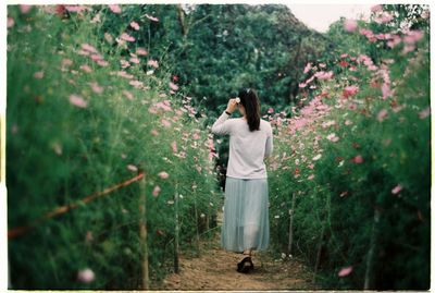 Rear view of woman standing by flowering plants