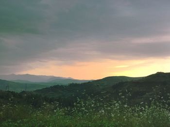 Scenic view of field against sky at sunset