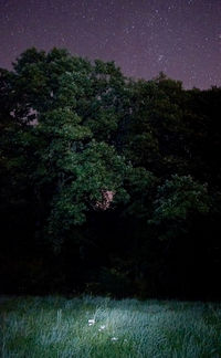 Scenic view of landscape against sky at night