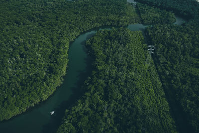 High angle view of trees on landscape