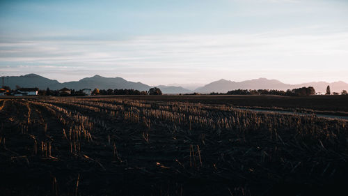 Scenic view of field against sky during sunset