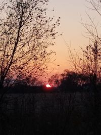 Silhouette bare trees against sky during sunset