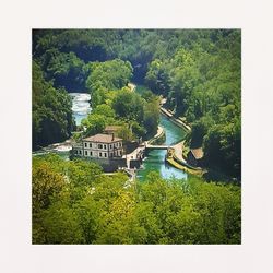 High angle view of trees and plants against calm river