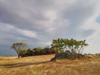Scenic view of grassy field against cloudy sky