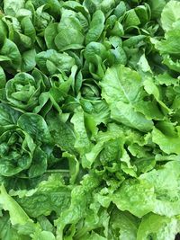 Full frame shot of vegetables