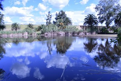 Reflection of trees in lake against sky