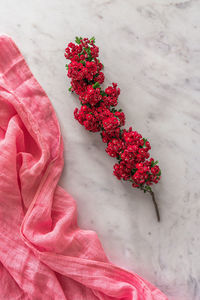 High angle view of red flowering plant