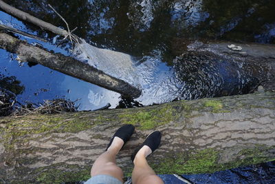 Low section of woman standing on tree trunk by water