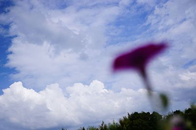 Low angle view of trees against cloudy sky