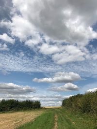 Scenic view of field against sky