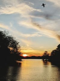 Silhouette bird flying over lake against sky during sunset