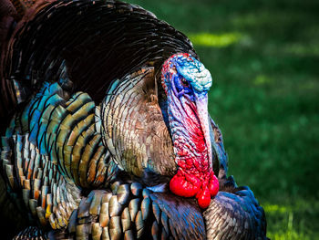 Close up of multi colored wall