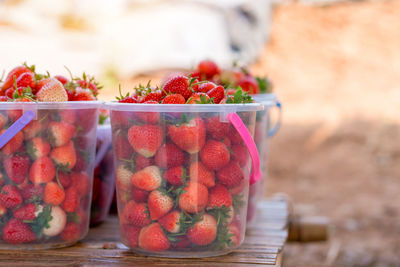 Strawberry fresh natural fruit in trays from a strawberry field.