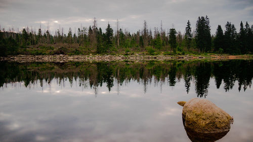 Reflection of trees in lake against sky