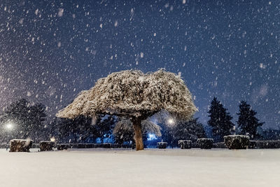 Snow on field against sky at night