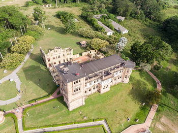 Aerial view of buildings and trees