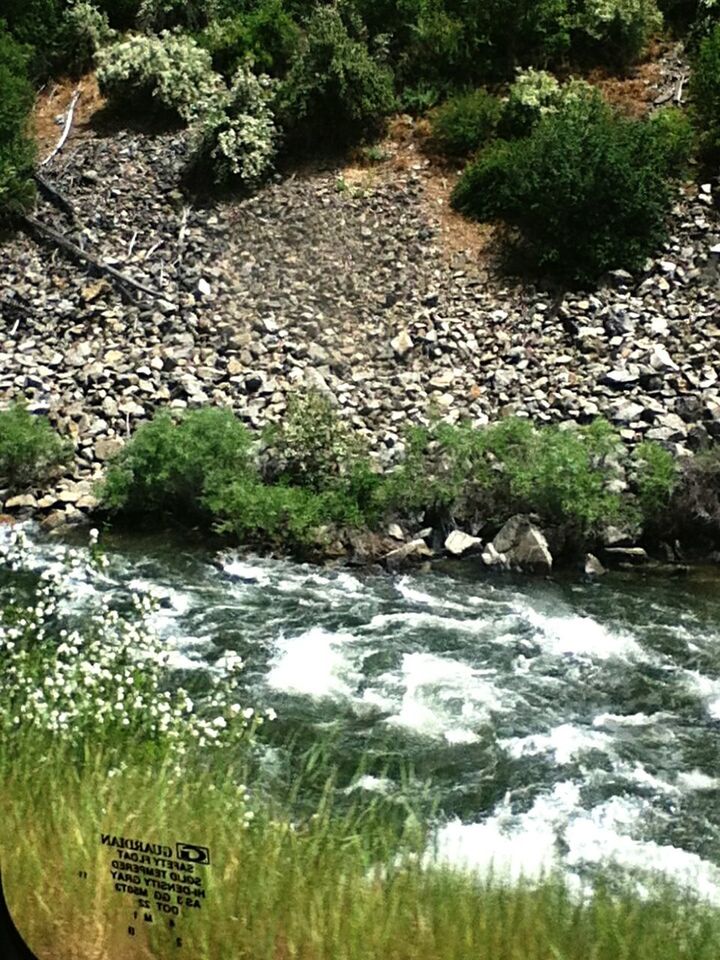 water, tree, stream, reflection, nature, flowing water, tranquility, plant, growth, river, rock - object, beauty in nature, forest, flowing, green color, pond, tranquil scene, scenics, day, waterfront