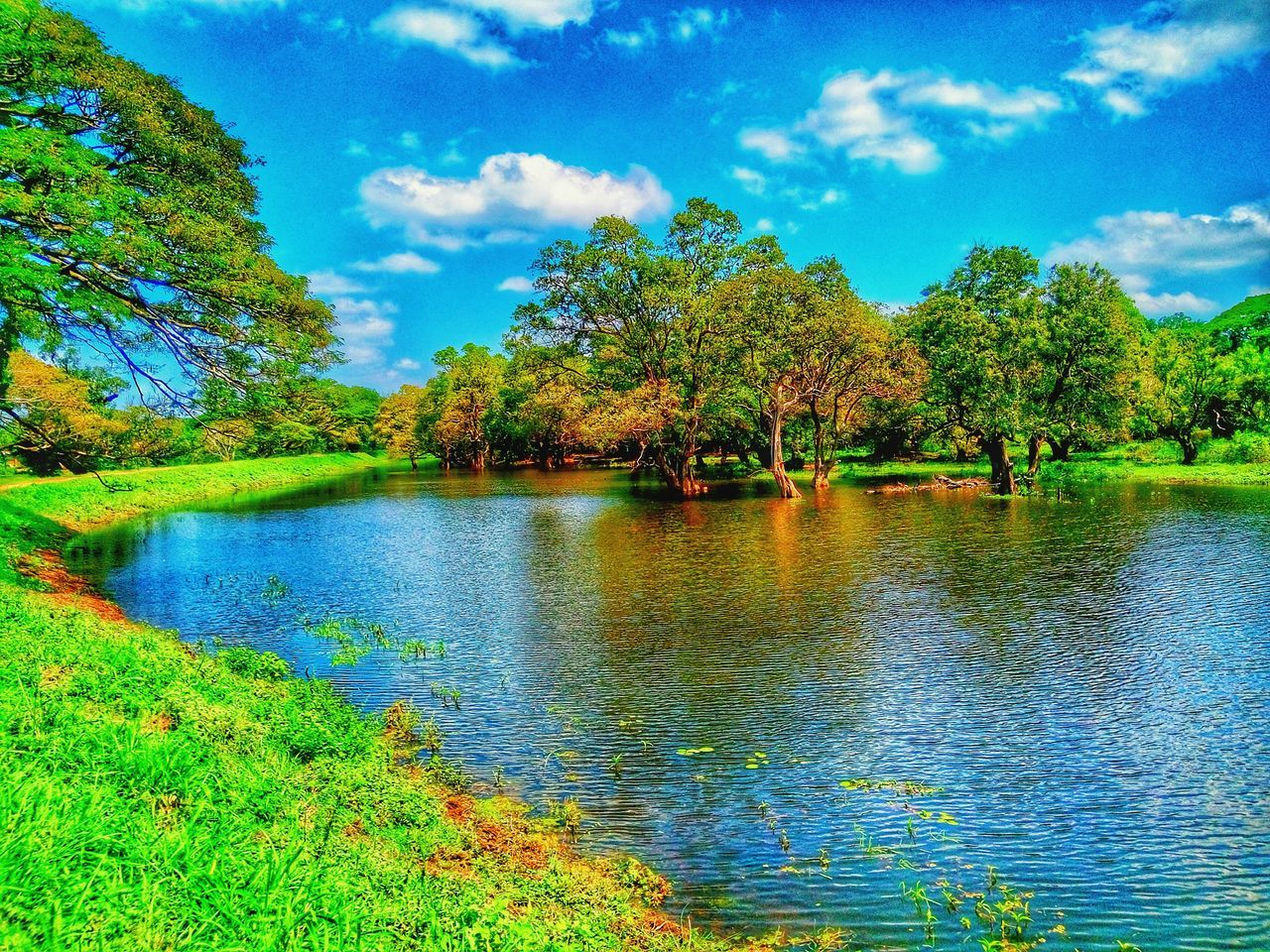 scenics, beauty in nature, tranquil scene, tree, lake, nature, water, tranquility, sky, green color, cloud - sky, non-urban scene, day, outdoors, no people, idyllic, growth, landscape, forest, grass, blue, travel destinations