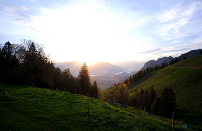 Scenic view of field against sky