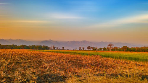 Scenic view of field against sky during sunset