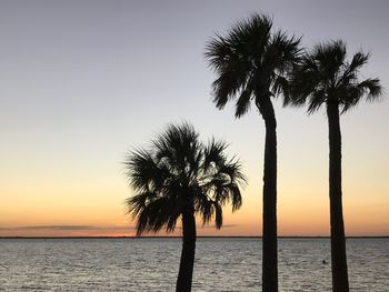 Silhouette palm trees against sky during sunset