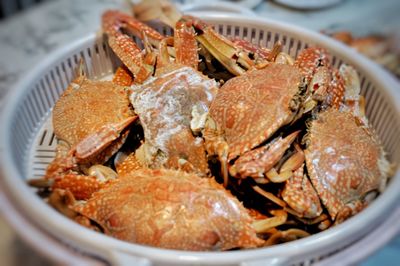 Close-up of seafood in plate