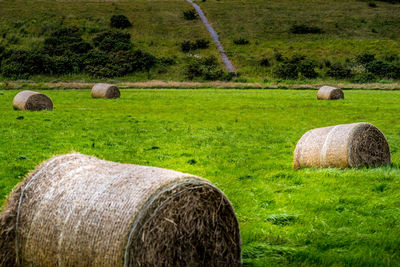 Hay bales on field