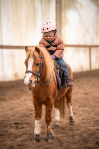 Portrait of horse standing on field