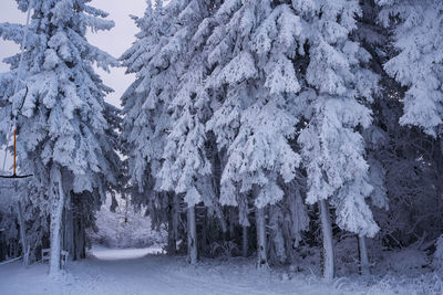 The concept of relaxing in the mountains in winter in rhoen on wasserkuppe mountain in hesse germany