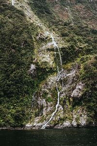 Scenic view of waterfall in forest