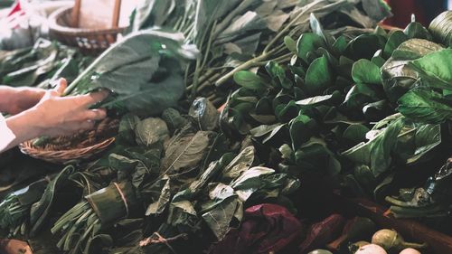 High angle view of man working on leaves