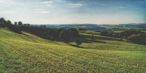 Scenic view of agricultural field against sky