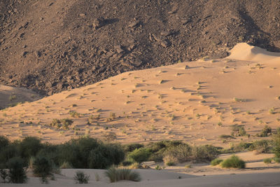 Great sand dune in vallee blanche at sahara desert in mauritania