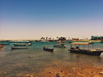 Boats moored at harbor against clear sky