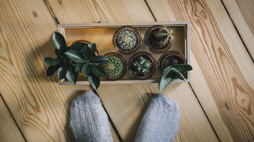 Low section of person standing on wooden floor