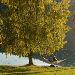 Person sitting by tree against lake