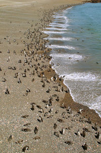 High angle view of beach