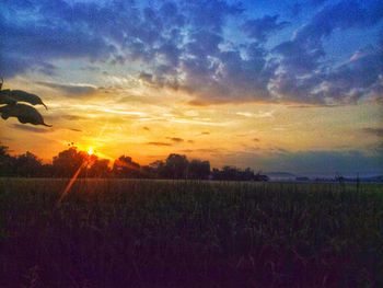 Scenic view of field against sky at sunset