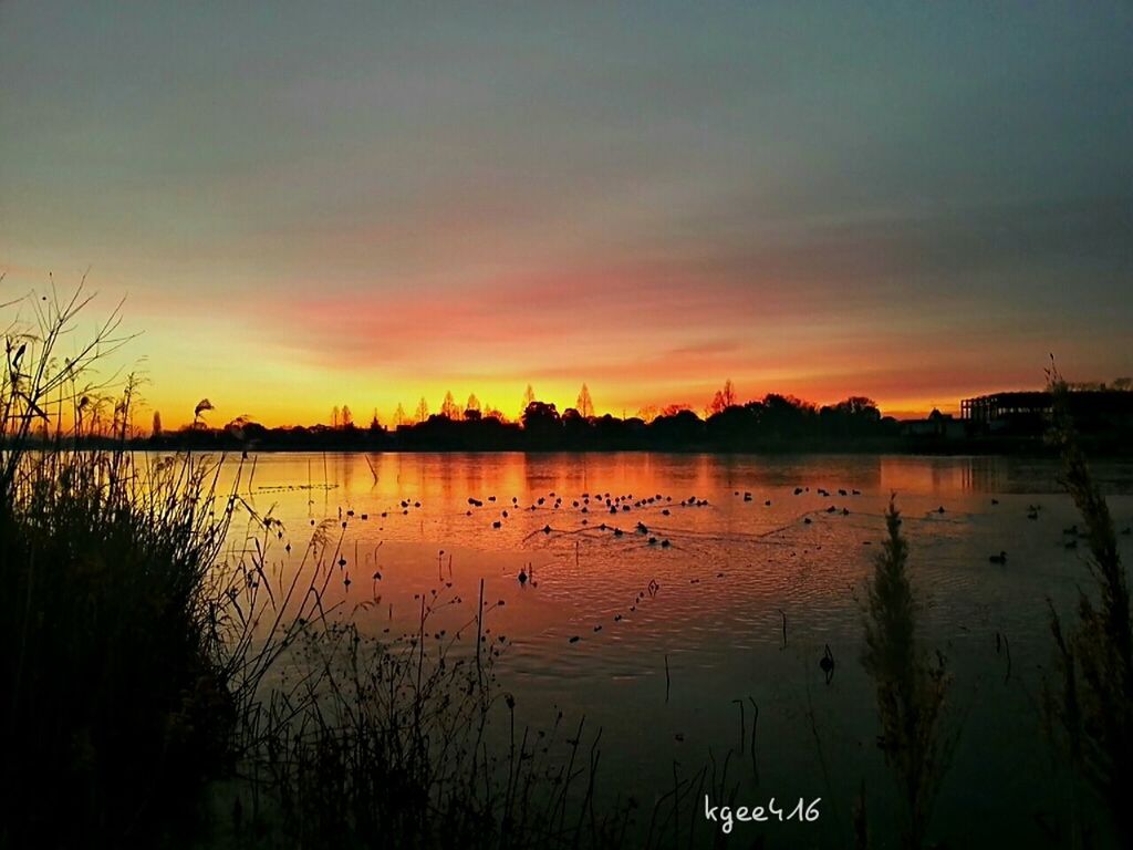 sunset, water, silhouette, sky, lake, scenics, tranquil scene, orange color, tranquility, reflection, beauty in nature, bird, nature, idyllic, animal themes, river, dusk, wildlife, outdoors, animals in the wild