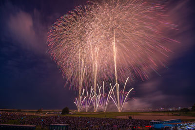 Low angle view of firework display at night