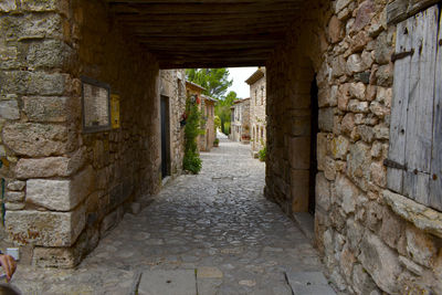 Narrow alley amidst buildings in town