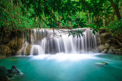 Scenic view of waterfall in forest