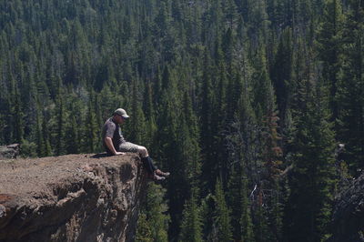 Man feeding on tree trunk in forest